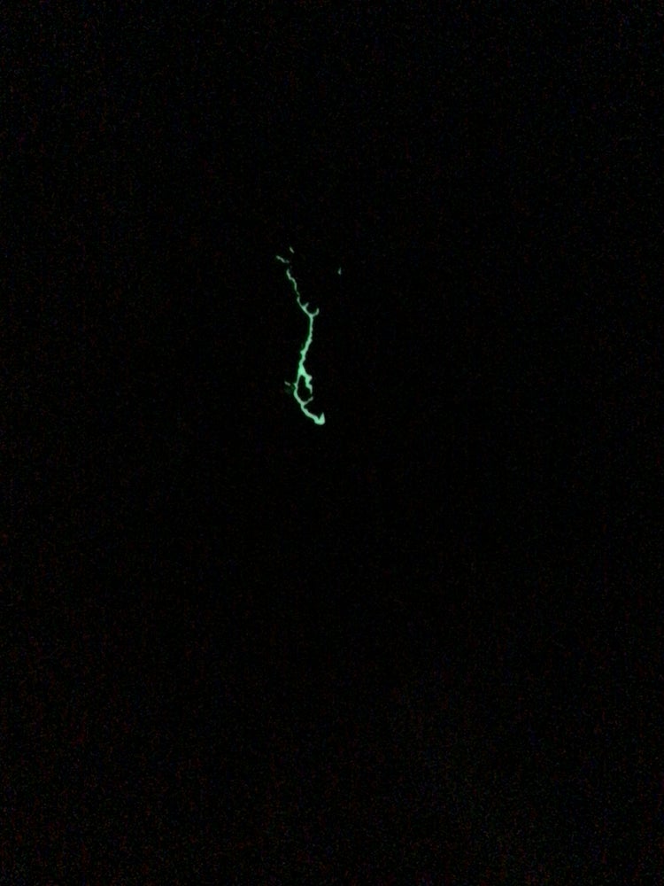 Evil Lightening PtaK