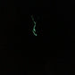Evil Lightening PtaK